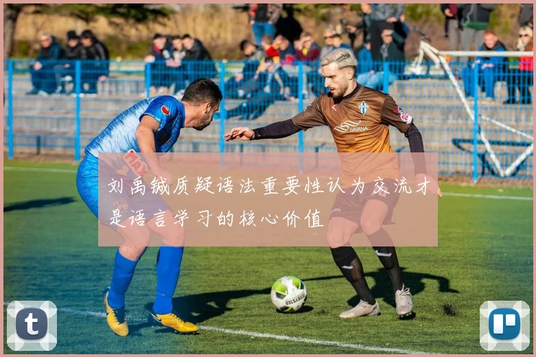 刘禹铖质疑语法重要性认为交流才是语言学习的核心价值