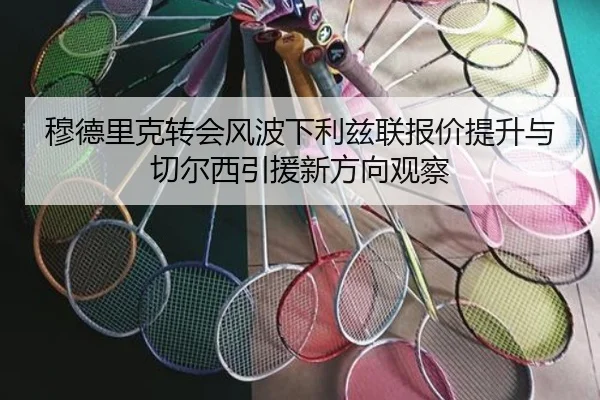 穆德里克转会风波下利兹联报价提升与切尔西引援新方向观察 | kaiyun.com
